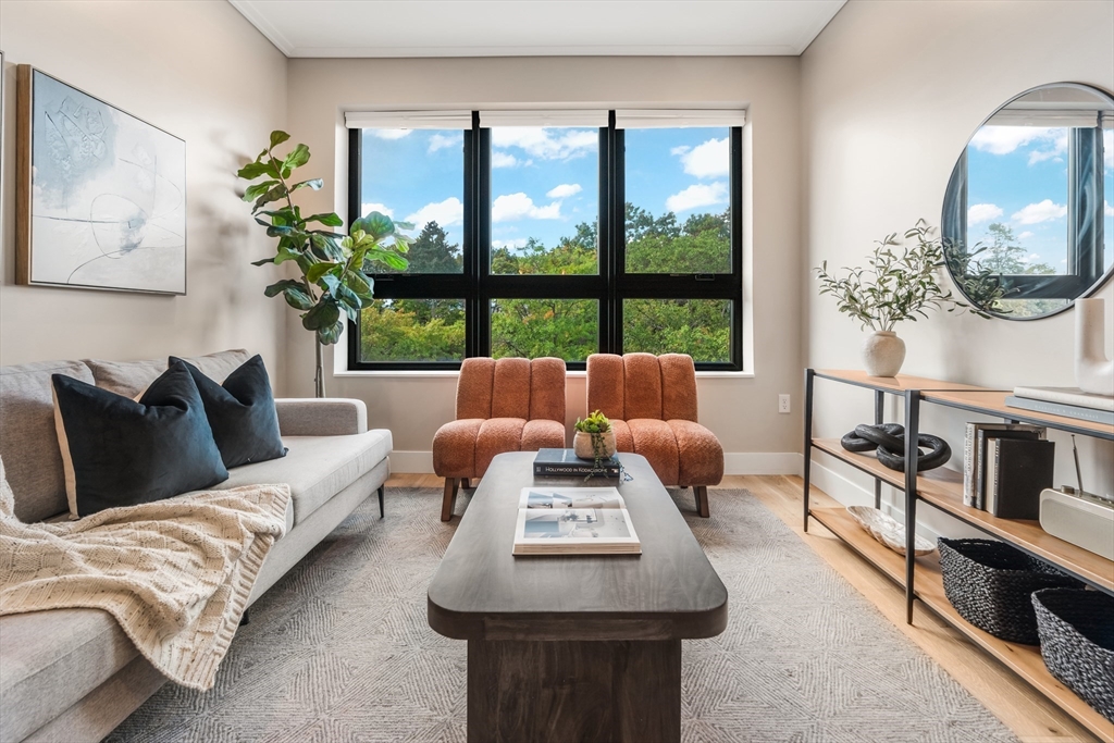 70 Leo M Birmingham Parkway, Unit U307 Boston, MA 02135 - Photo 2 of 35 a living room with furniture and a potted plant