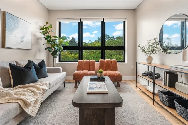 a living room with furniture and a potted plant