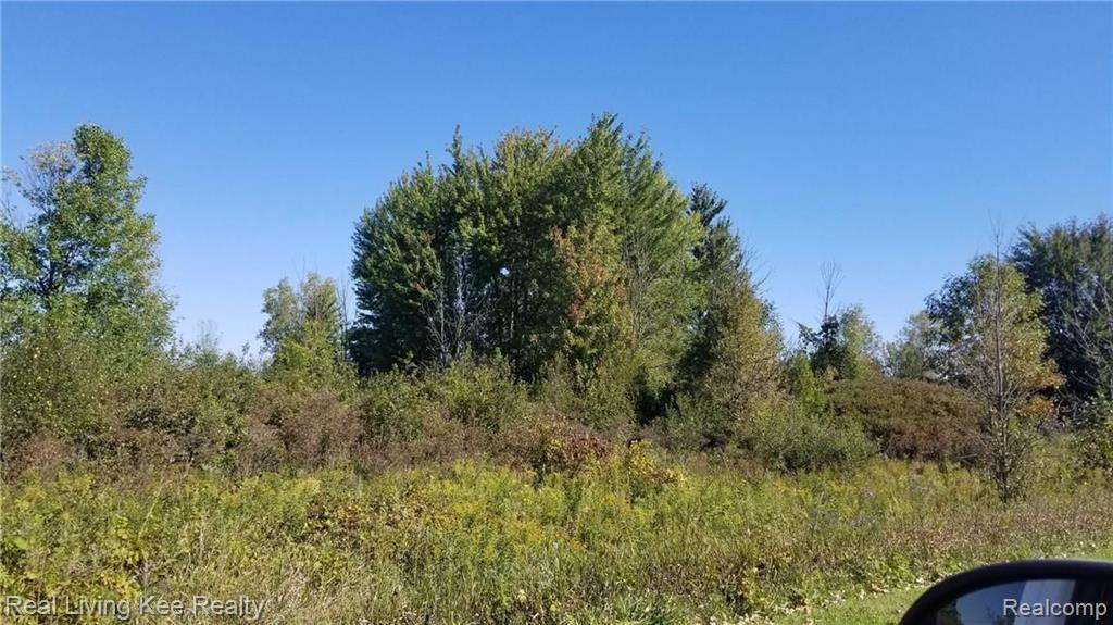0 Sharrard Road Allenton, MI 48002 - Photo 2 of 4
