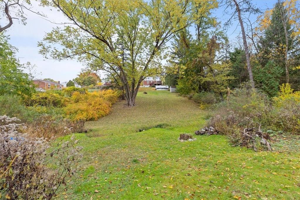 213 Logan Road Bethel Park, PA 15102 - Photo 44 of 47 a view of a yard with a tree