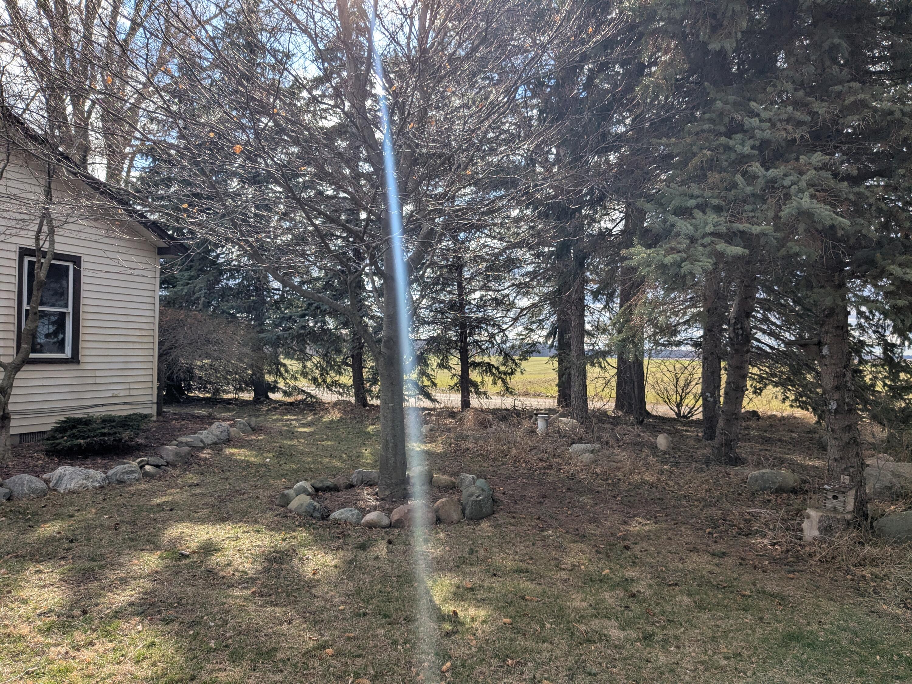 9800 Boyer Road Charlotte, MI 48813 - Photo 42 of 45 1000029334