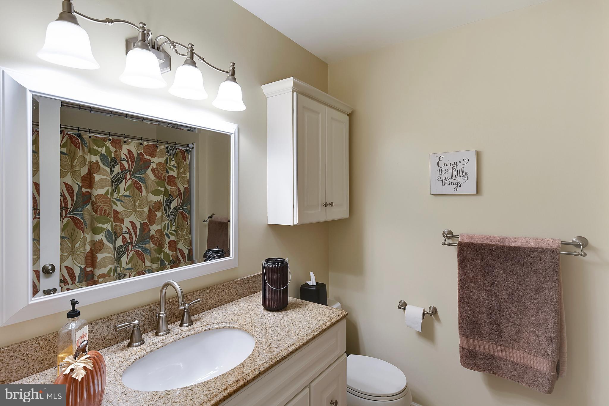8720 Fairlee Road Chestertown, MD 21620 - Photo 17 of 27 Hall bath completely remodeled