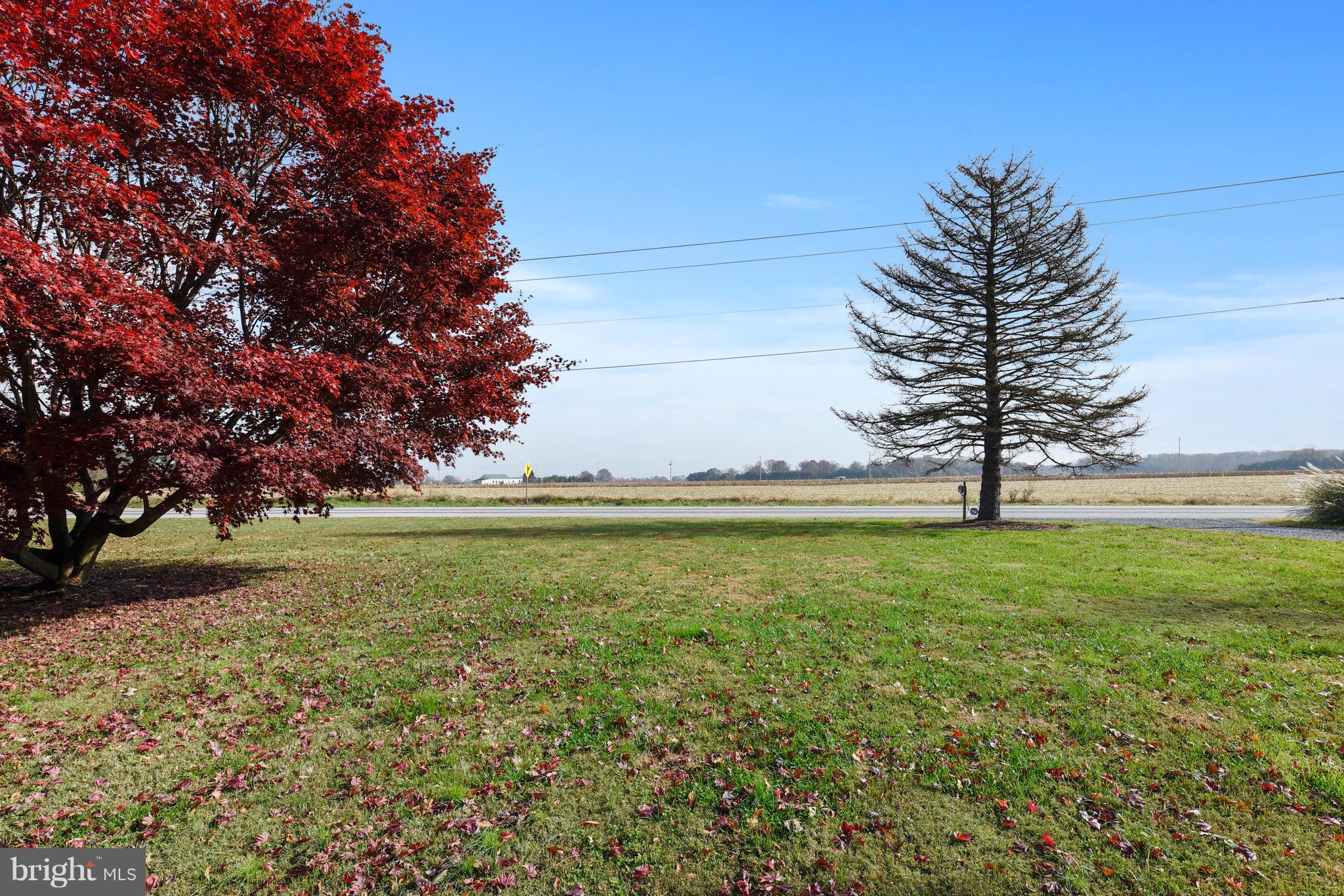 8720 Fairlee Road Chestertown, MD 21620 - Photo 19 of 27 View from the front door