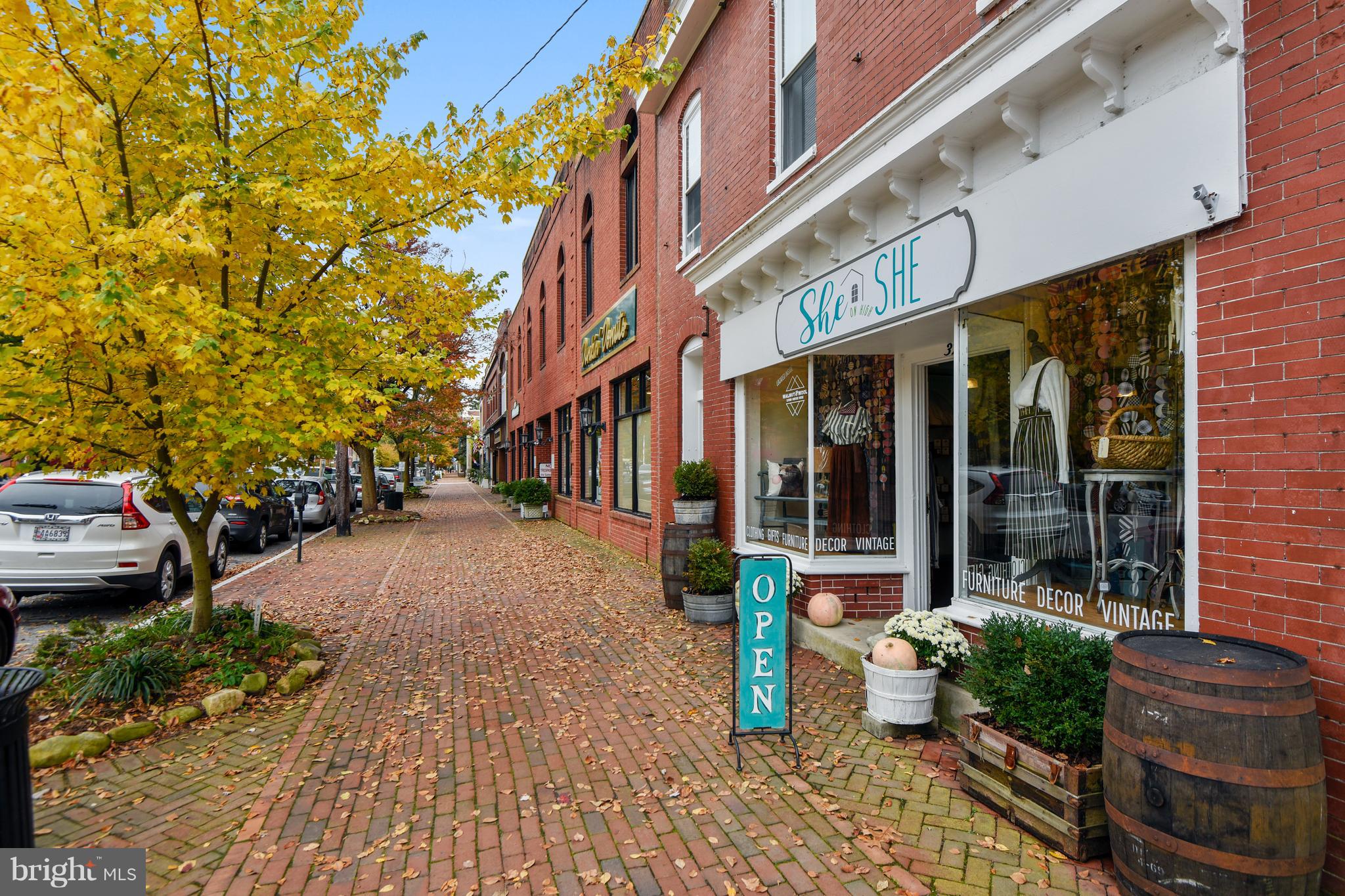 8720 Fairlee Road Chestertown, MD 21620 - Photo 24 of 27 High Street shopping