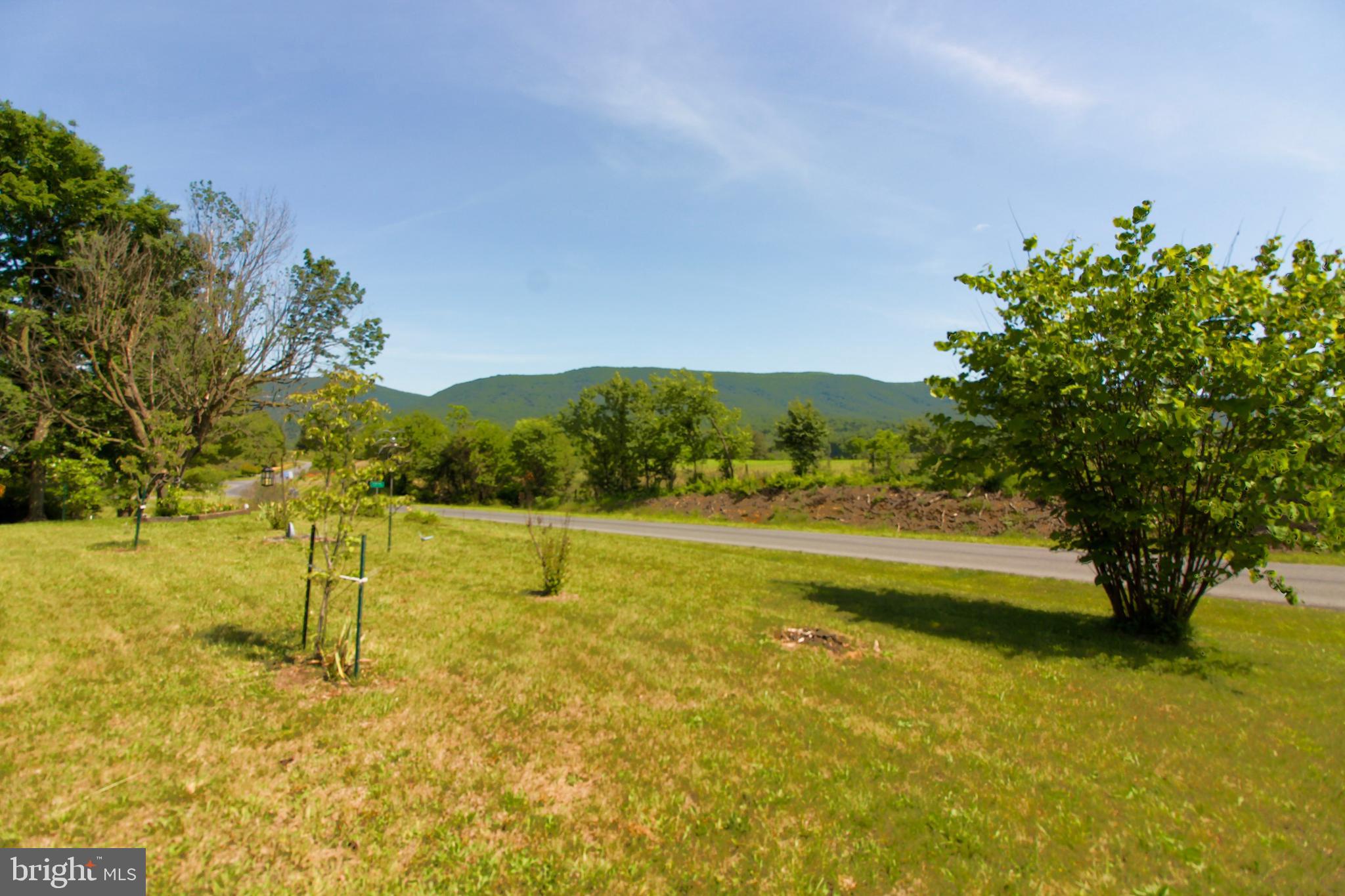 4250 Palmyra Church Road Edinburg, VA 22824 - Photo 23 of 24 Stunning mountain views from front porch!