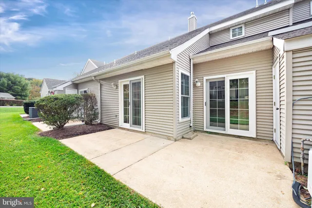 a view of backyard with plants and large tree