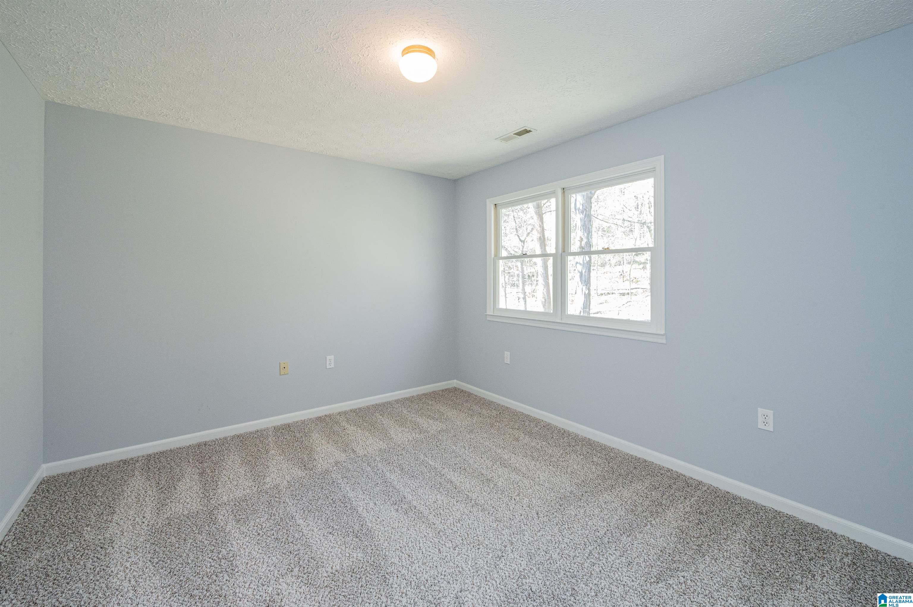 19035 Remlap Drive Remlap, AL 35133 - Photo 39 of 48