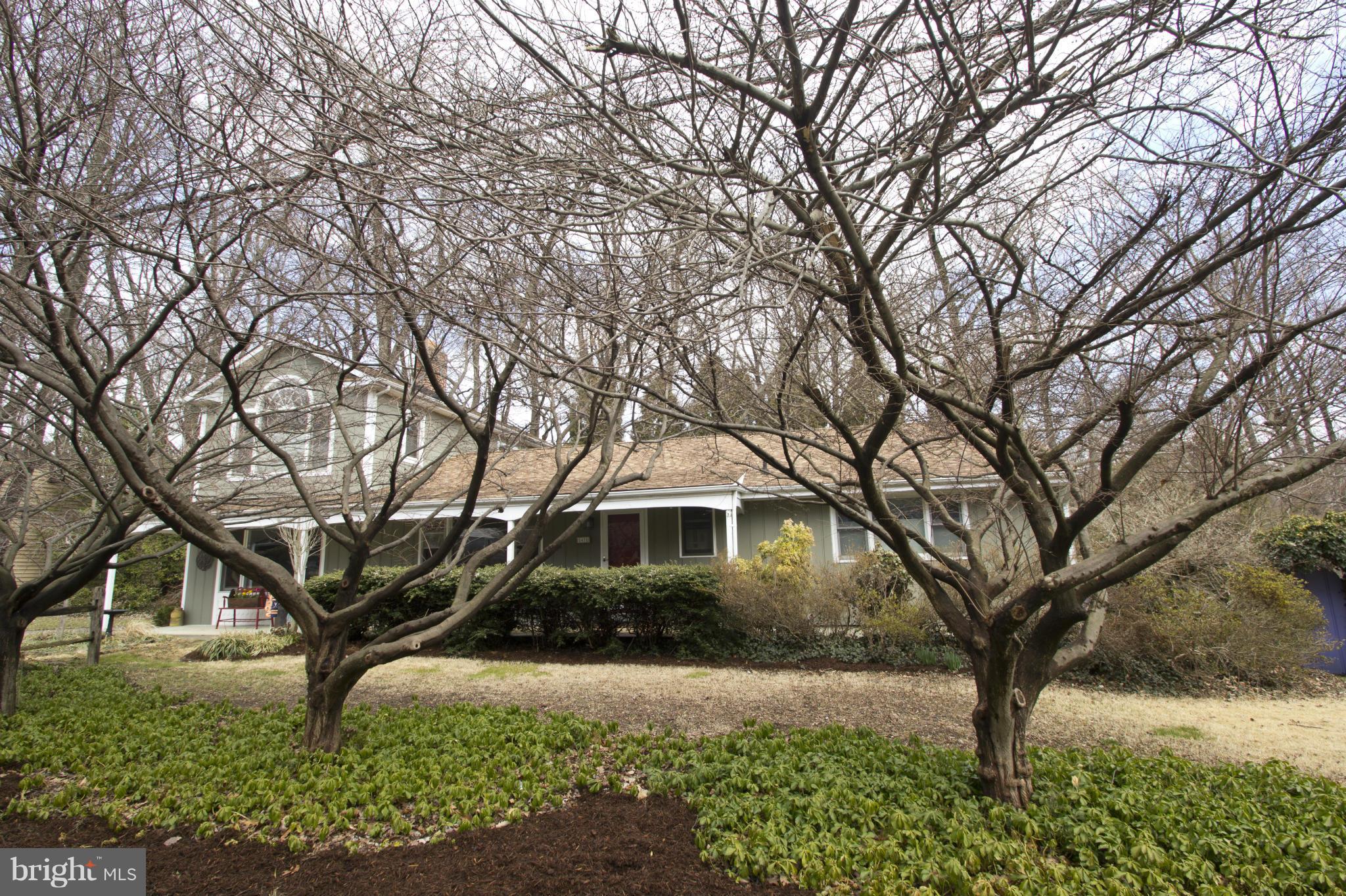 1471 Grandview Road Arnold, MD 21012 - Photo 2 of 30 Japanese Snow Bells Trees in Front