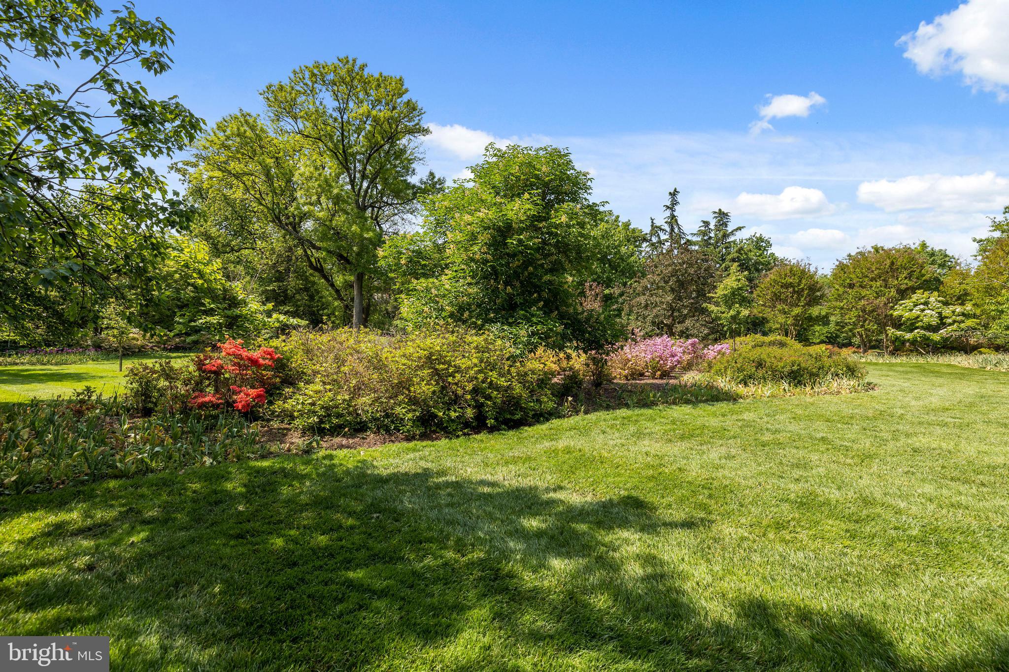 4406 Norwood Road Baltimore, MD 21218 - Photo 70 of 74 a view of a garden with plants and large trees