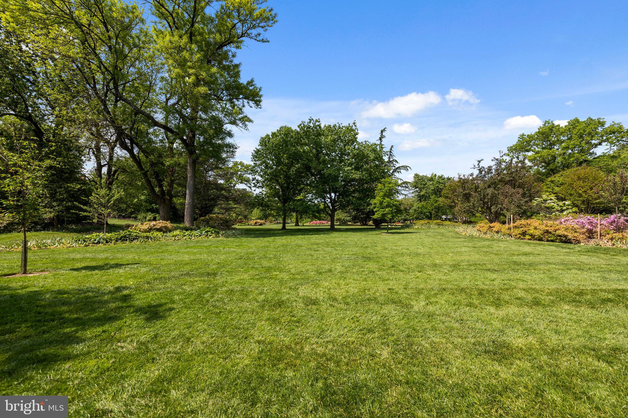 4406 Norwood Road Baltimore, MD 21218 - Photo 72 of 74 a view of field with tall trees
