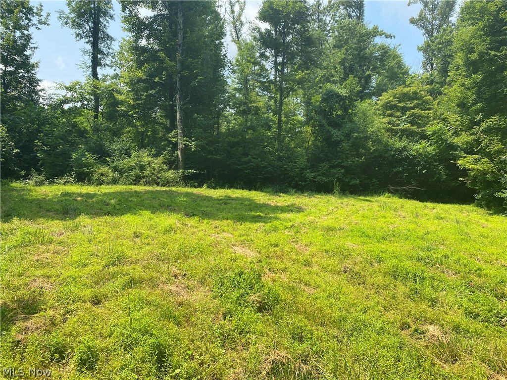 9401 Bell Run Road Adamsville, OH 43802 - Photo 13 of 27 Gallery Image 13