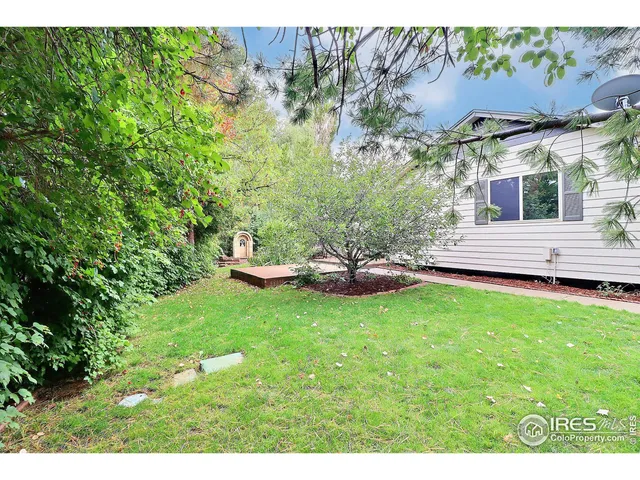 a view of a backyard with potted plants and large tree