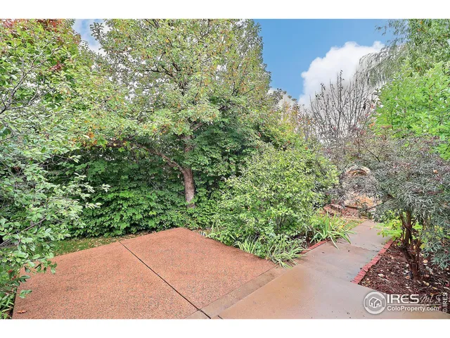 a view of a backyard with mountain view and a potted plant