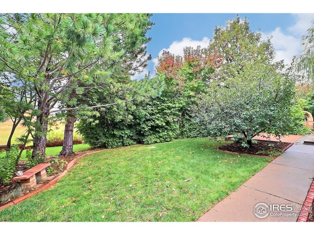 a view of a backyard with a tree