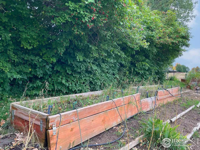 a view of a grassy area with an ocean
