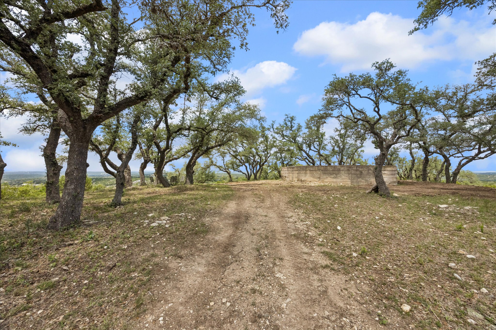 6411 West Fitzhugh Road Dripping Springs, TX 78620 - Photo 23 of 34 Expansive natural landscape with mature trees and a distant horizon