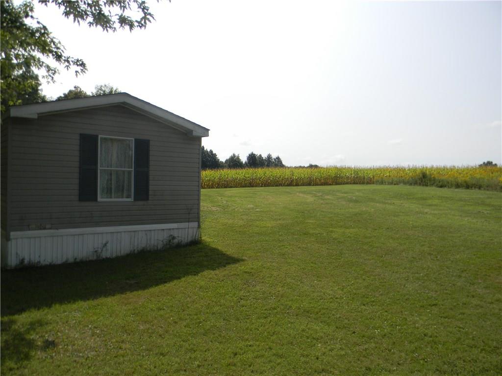 1152 Hartzell Road New Castle, PA 16105 - Photo 8 of 18 Back Yard