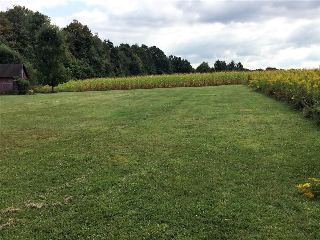 1152 Hartzell Road New Castle, PA 16105 - Photo 9 of 18 Back Yard