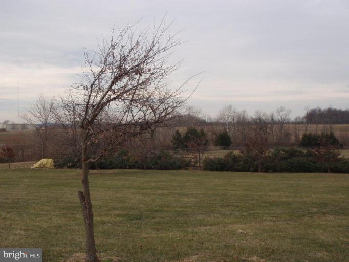 1420 Wakefield Valley Road New Windsor, MD 21776 - Photo 29 of 30 Wooded View / Acreage