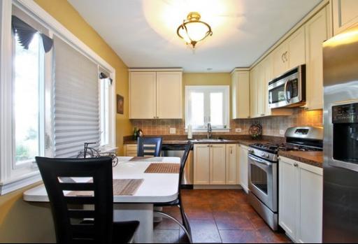 1200 West Higgins Ave Park Ridge, Unit A Park Ridge, IL 60068 - Photo 3 of 10