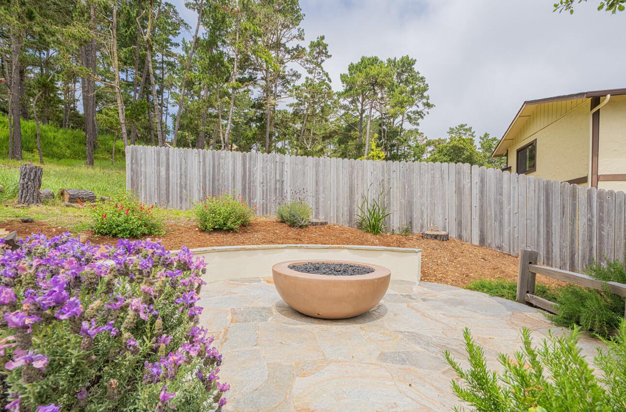 24 Pinehill Way Monterey, CA 93940 - Photo 47 of 51 a view of a backyard with plants and tree