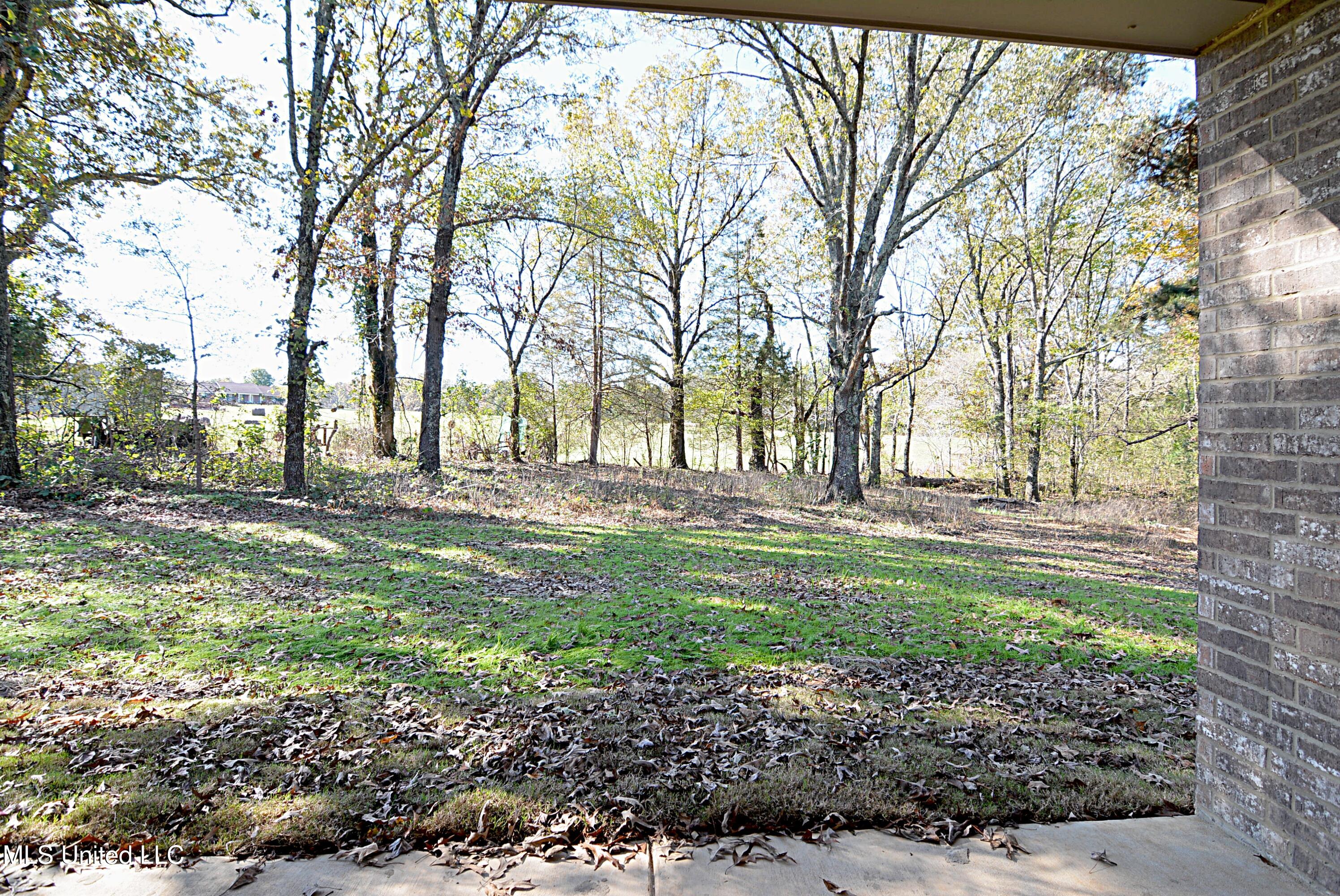 350 Tribble Road Holly Springs, MS 38635 - Photo 25 of 25 Back Yard