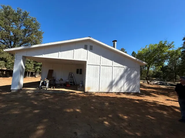 a view of a tree in a yard