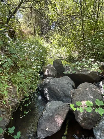 $299,700 | 9153 Manzanita Lane, Oregon House, CA 95962