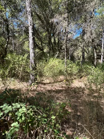 $299,700 | 9153 Manzanita Lane, Oregon House, CA 95962