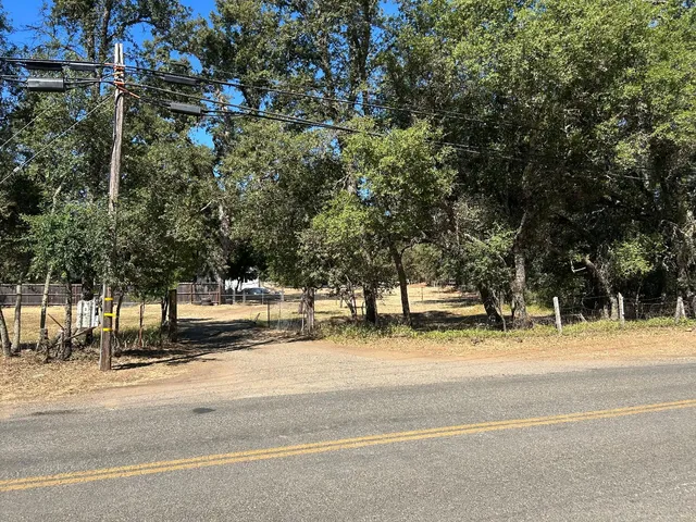 a view of a yard with a tree