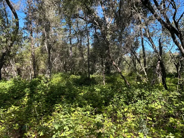 $299,700 | 9153 Manzanita Lane, Oregon House, CA 95962