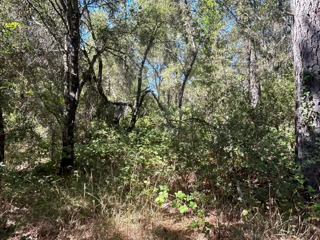 $299,700 | 9153 Manzanita Lane, Oregon House, CA 95962