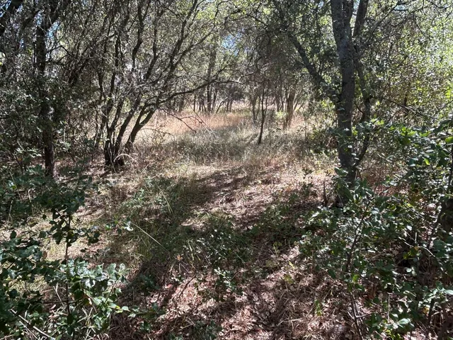 $299,700 | 9153 Manzanita Lane, Oregon House, CA 95962