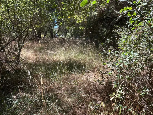 $299,700 | 9153 Manzanita Lane, Oregon House, CA 95962