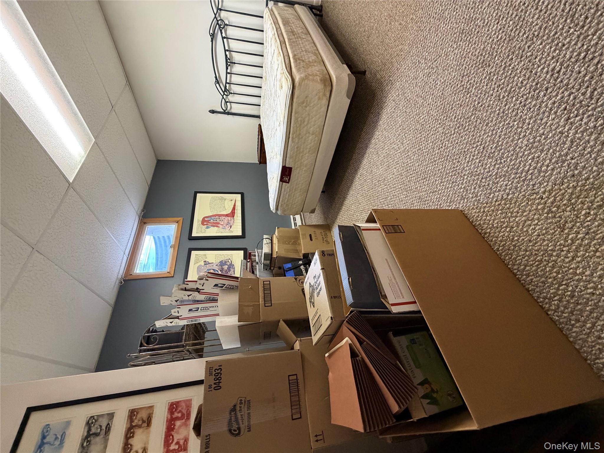 329 Mountain Road Bloomingburg, NY 12721 - Photo 19 of 20