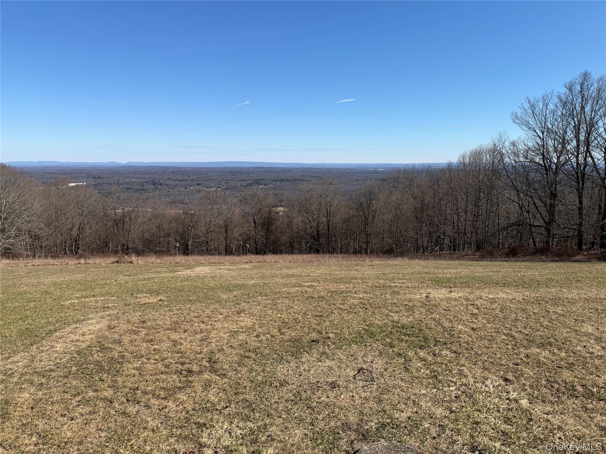 329 Mountain Road Bloomingburg, NY 12721 - Photo 7 of 20