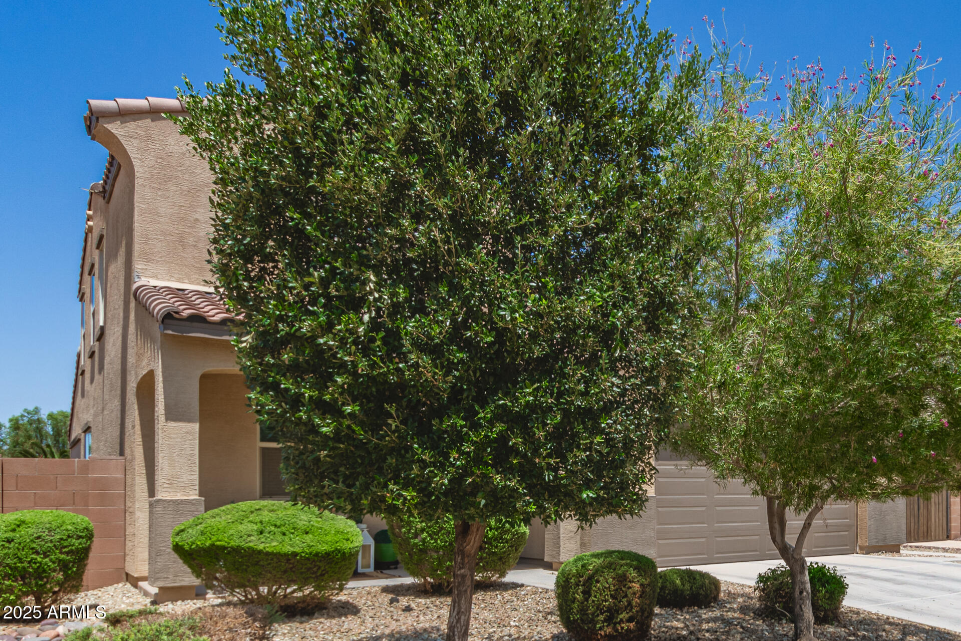 40098 West Ganly Way Maricopa, AZ 85138 - Photo 3 of 46 a couple of potted plants in front of a house
