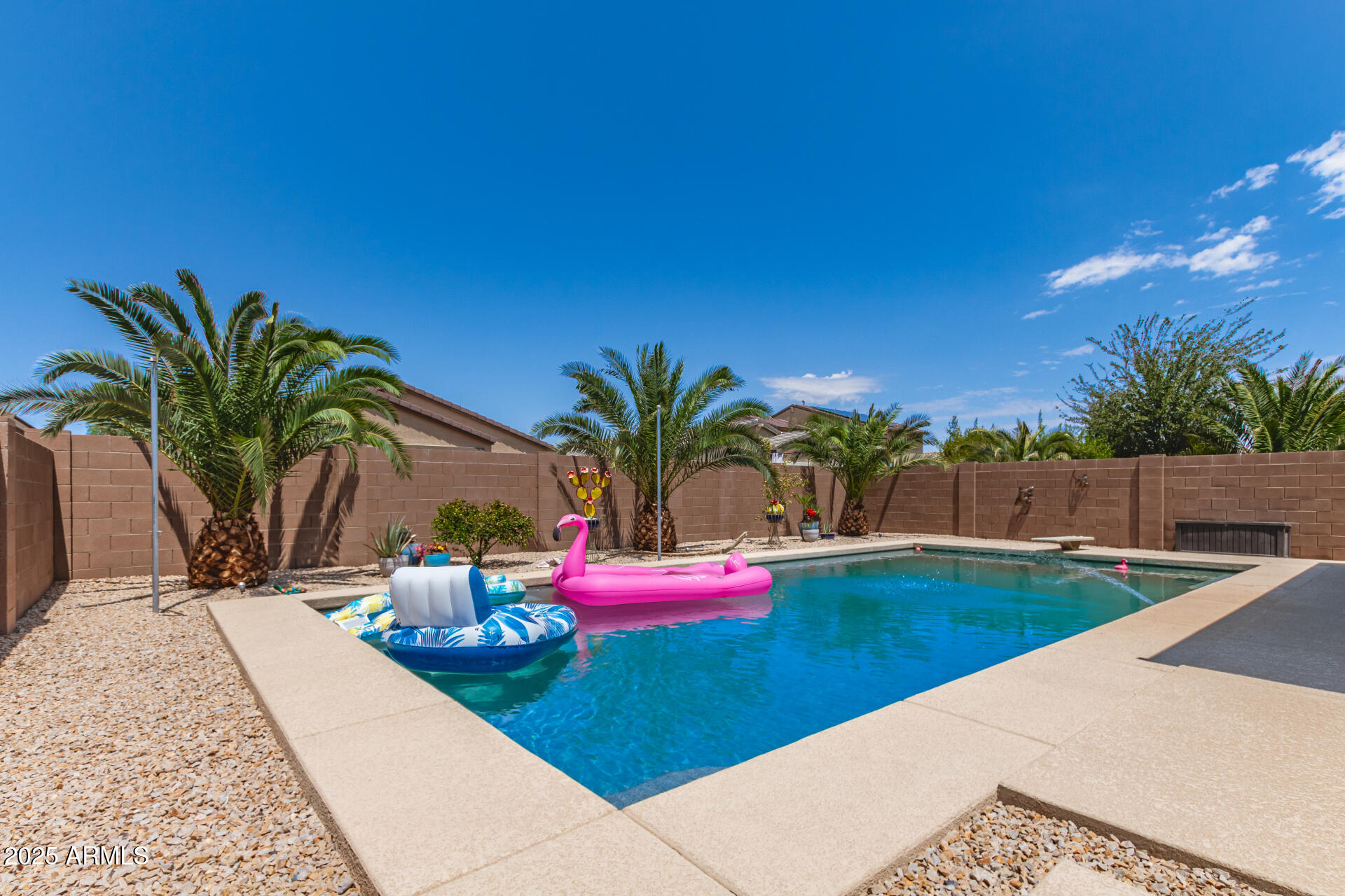 40098 West Ganly Way Maricopa, AZ 85138 - Photo 46 of 46 a view of a backyard with palm trees