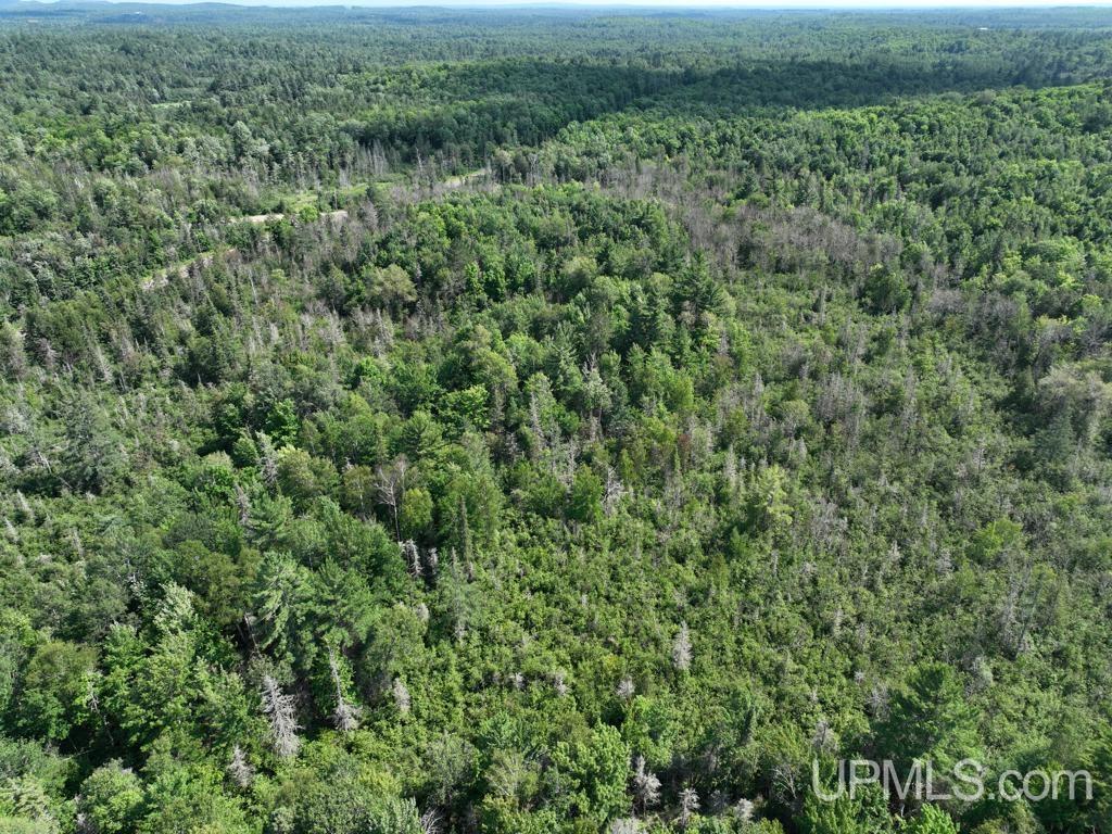 0 Gold Mine Lake Road Ishpeming, MI 49849 - Photo 4 of 19