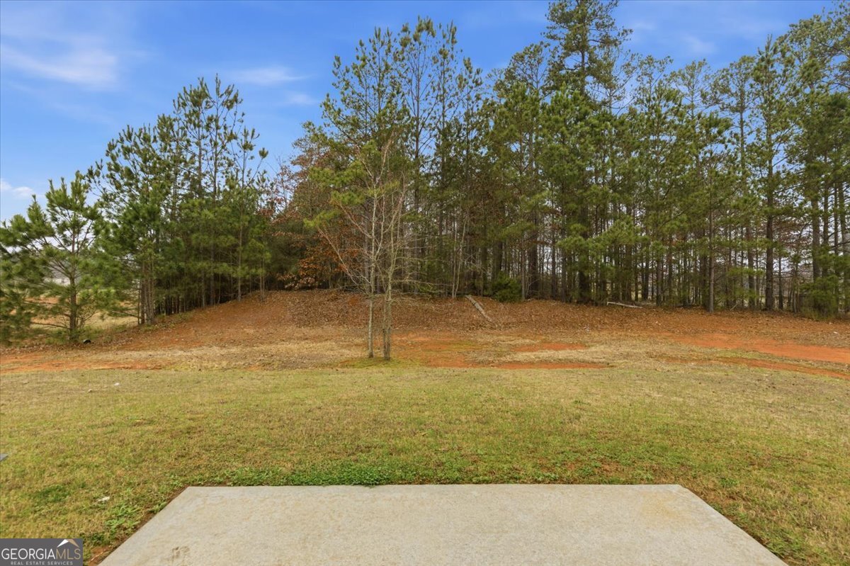 395 Bandelier Circle Hampton, GA 30228 - Photo 39 of 40