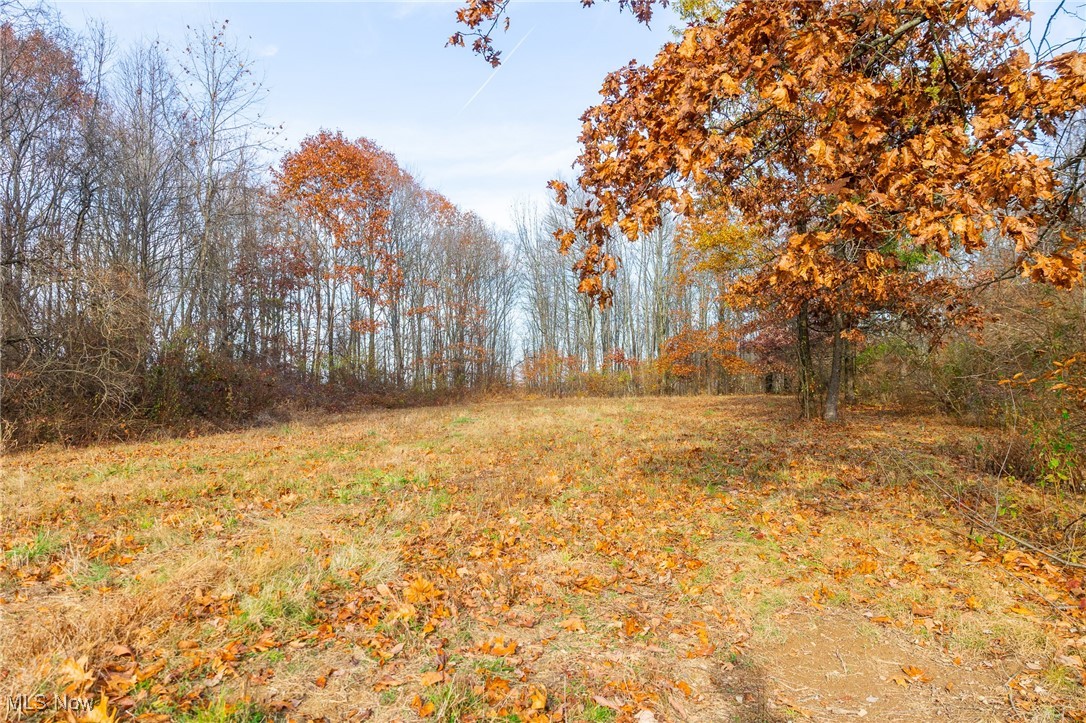 1239 Township Road Dresden, OH 43821 - Photo 39 of 50 View of undeveloped land