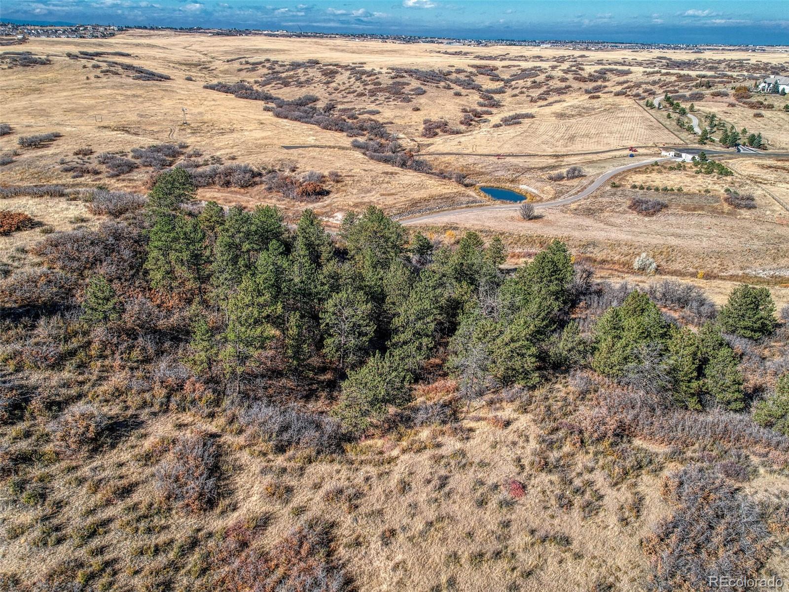 5053 Crowfoot Valley Road Castle Rock, CO 80108 - Photo 26 of 37