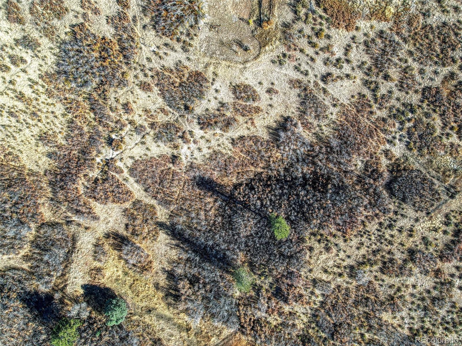 5053 Crowfoot Valley Road Castle Rock, CO 80108 - Photo 32 of 37