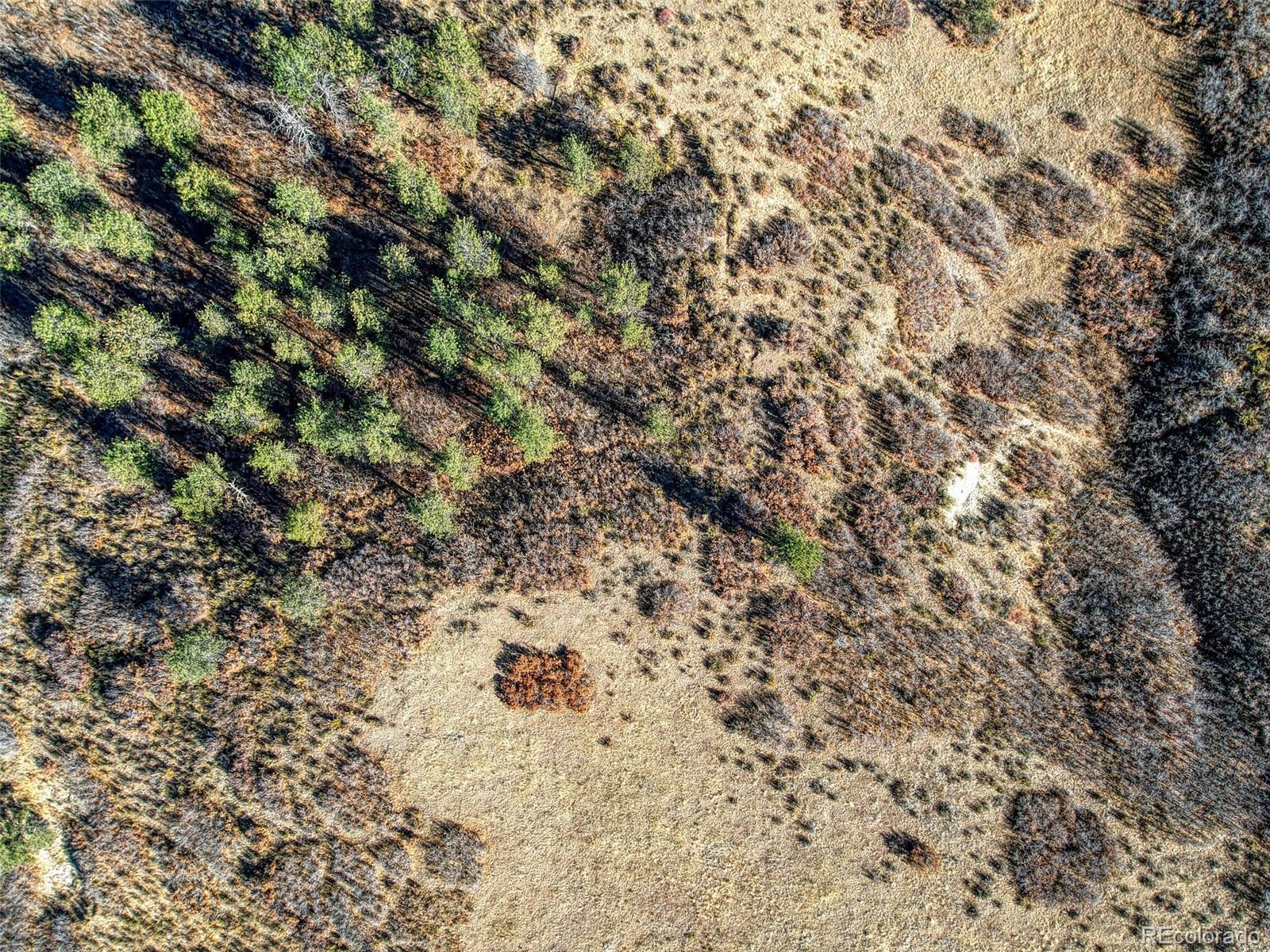 5053 Crowfoot Valley Road Castle Rock, CO 80108 - Photo 34 of 37