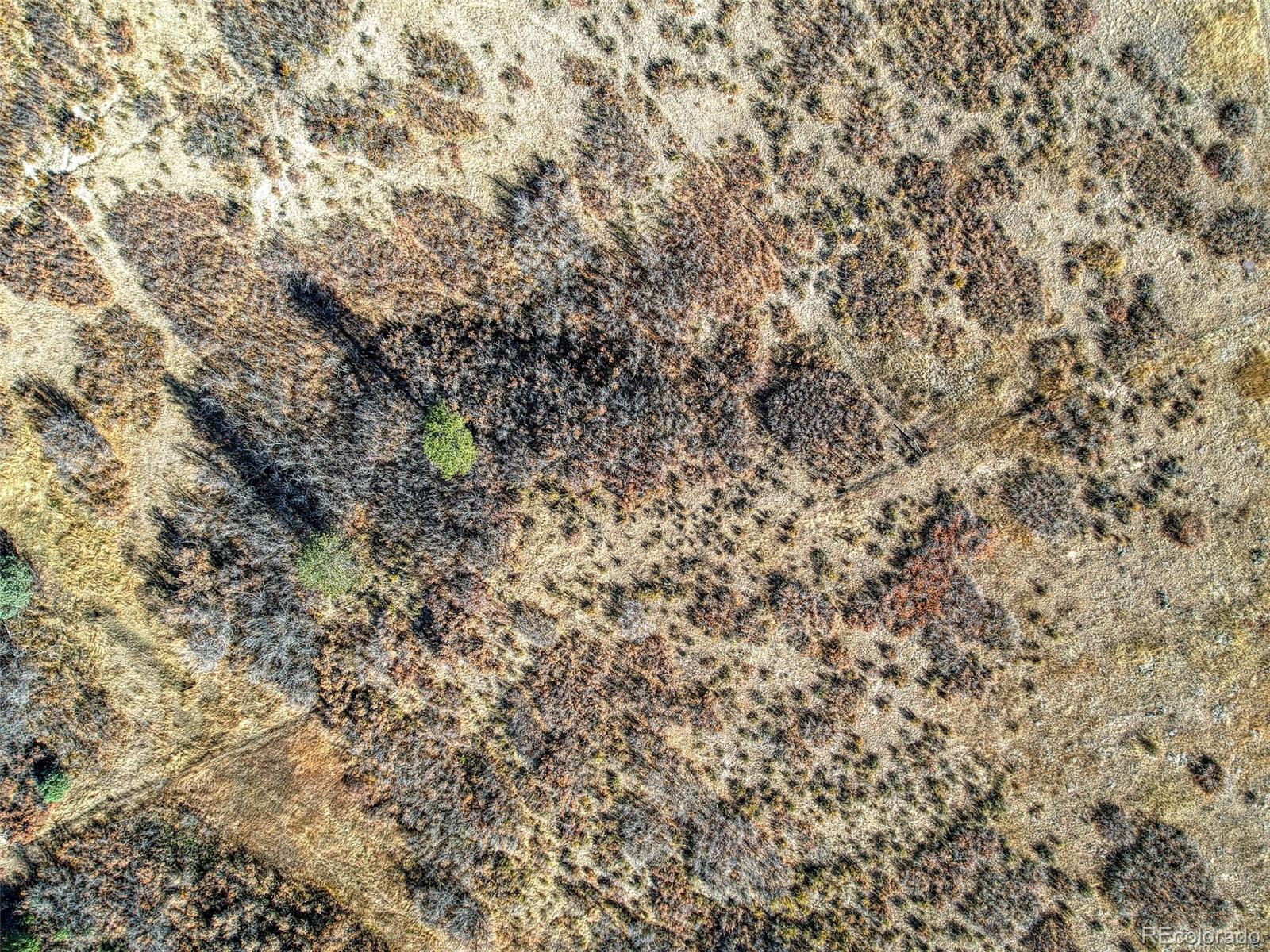 5053 Crowfoot Valley Road Castle Rock, CO 80108 - Photo 37 of 37