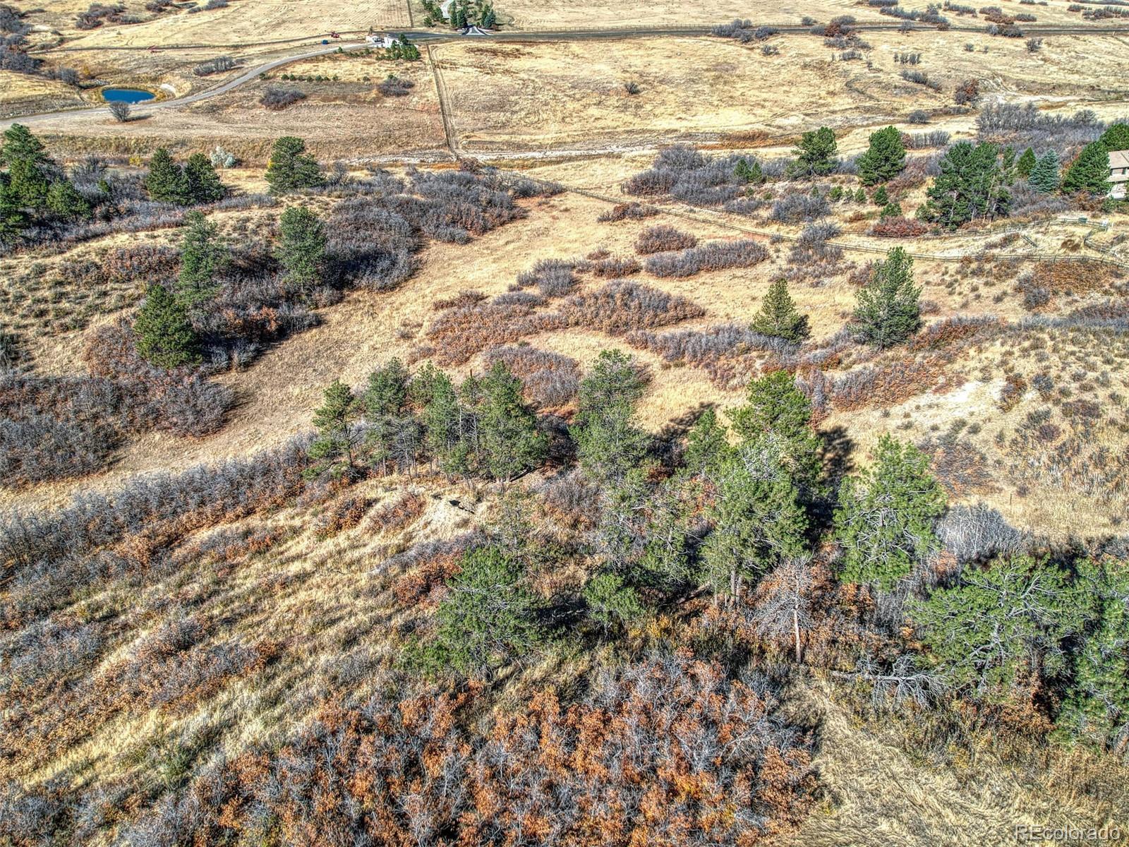 5053 Crowfoot Valley Road Castle Rock, CO 80108 - Photo 7 of 37