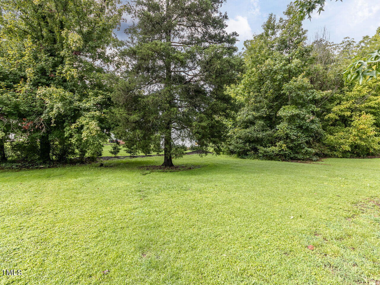 121 Clayton Street Roxboro, NC 27573 - Photo 26 of 29 027-1280x960-backyard