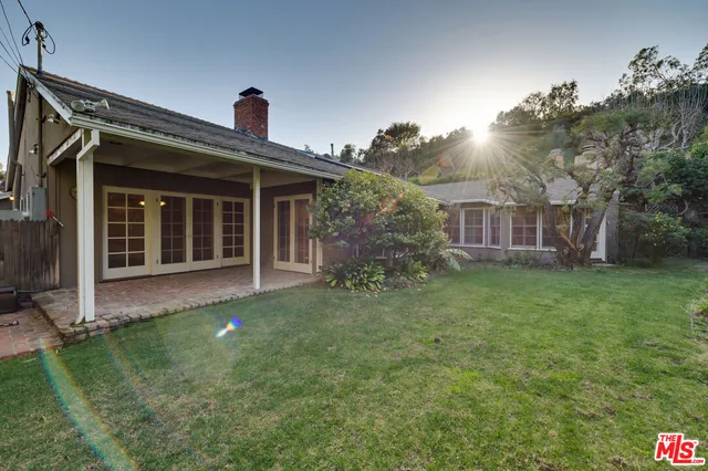 a view of a backyard with potted plants and large tree