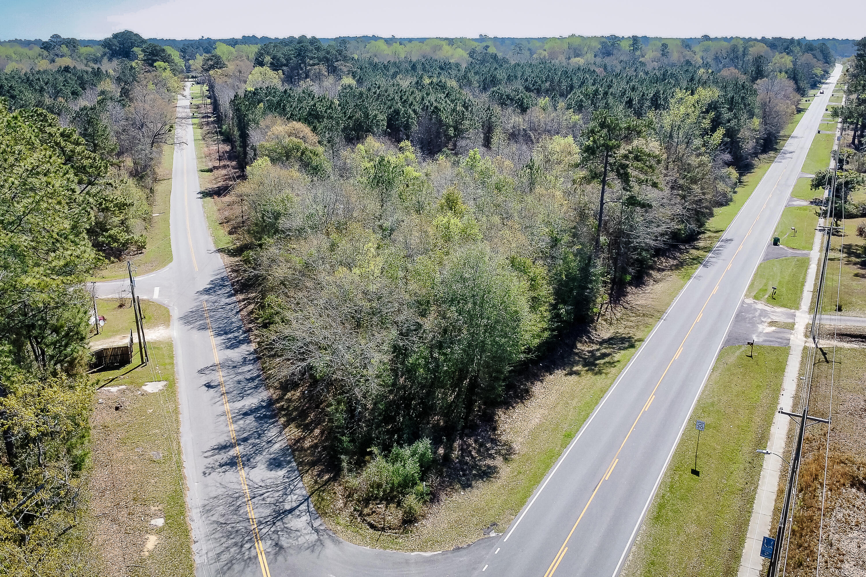 5986 Voorhees Road Denmark, SC 29042 - Photo 3 of 8 Compass South Land Sales South Carolina