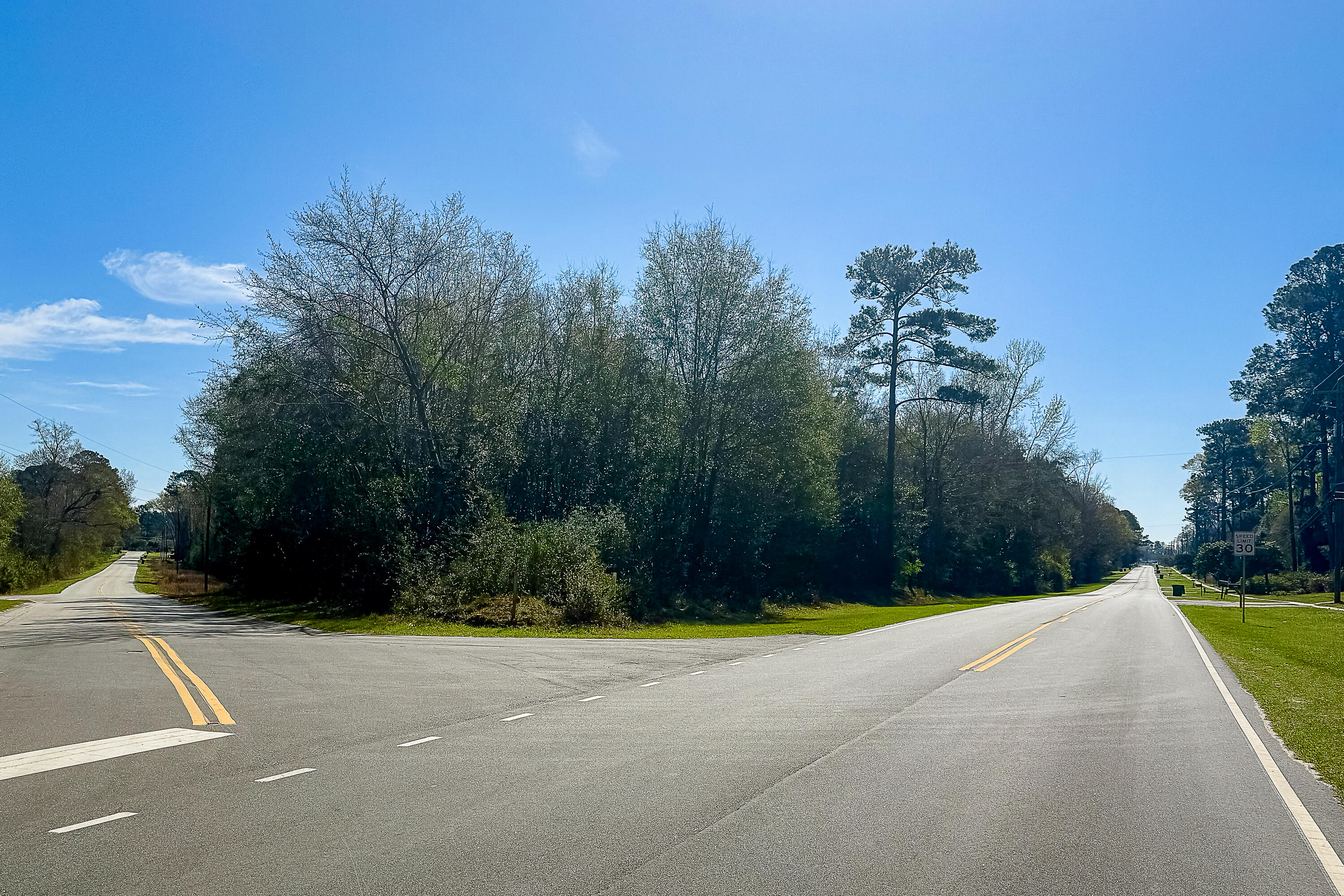 5986 Voorhees Road Denmark, SC 29042 - Photo 4 of 8 Compass South Land Sales South Carolina